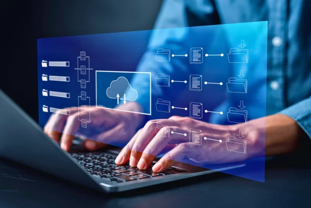 customer-vendor-master-management